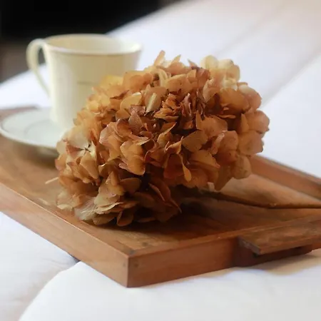 Charme With In Piazza Del Popolo *